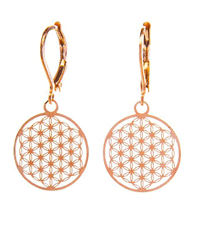      Blume des Lebens  flower of life  