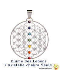   Steelflower  Blume des Lebens    