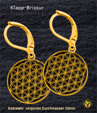      Blume des Lebens  flower of life  