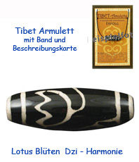   Tibet Amulett  Dzi Steine Achat   