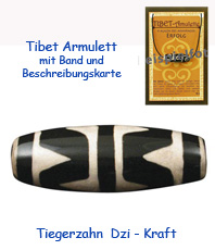   Tibet Amulett  Dzi Steine Achat  