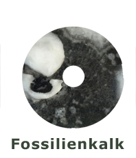     Fossilienkalk Donut                                                                                                                                            