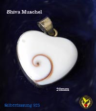 Shivas Augen Nautilusschnecke Shiva Muschel Anhänger        