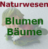      Blumen      