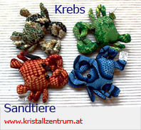   Krebs  Sandtiere   