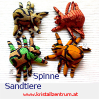   Sandtiere  Spinne 