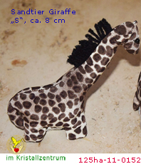   Giraffe  Sandtiere   