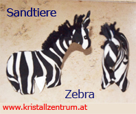   Pferd  Sandtiere   