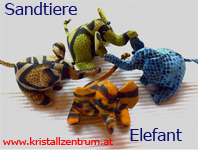   Elefant  Sandtiere   