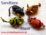   Maus  Sandtiere   