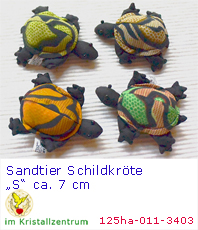   Schildkröte  Sandtiere   