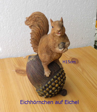   Eichhörnchen  