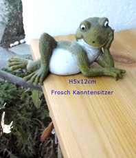   Frosch  Schneekugel  